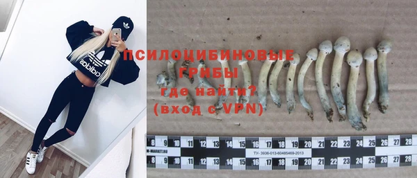не бодяженный Иннополис