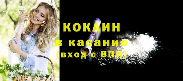 амф Каменка