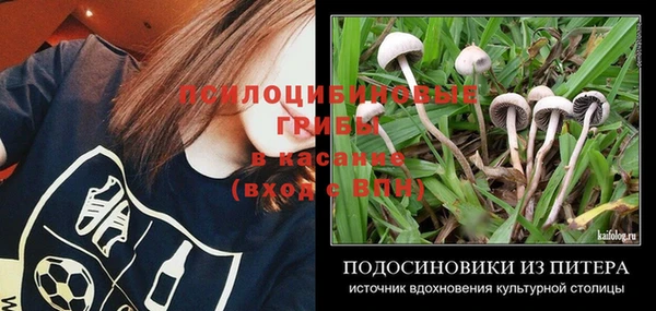 круглые Инта