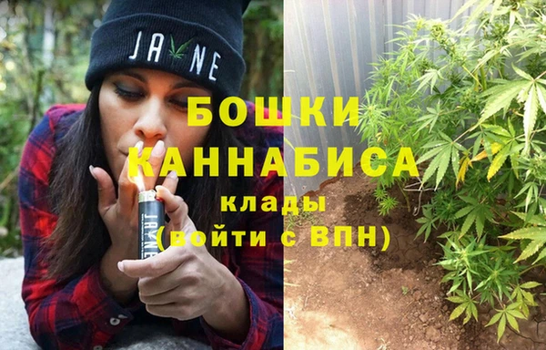 не бодяженный Иннополис