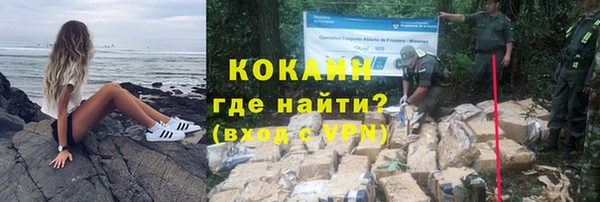 не бодяженный Иннополис