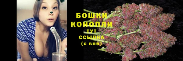 не бодяженный Иннополис