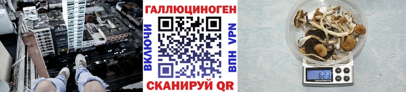 Псилоцибиновые грибы мухоморы  Купить  Любим 