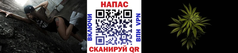 Купить  Любим  Бошки марихуана план 